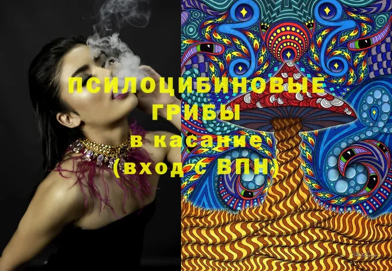 Псилоцибиновые грибы Magic Shrooms  Кинешма 